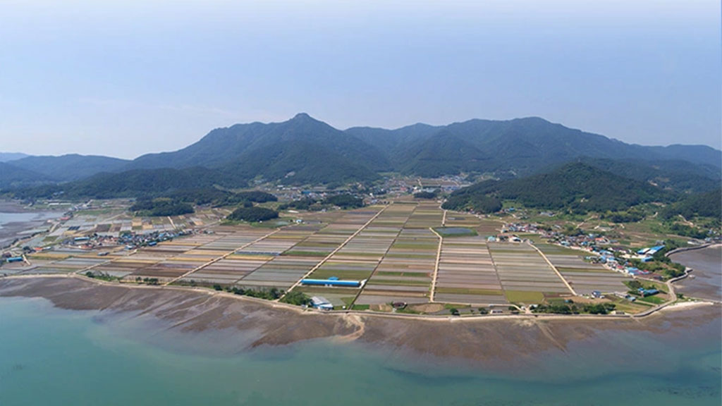 黒にんにくゼリーαの産地